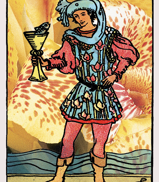 Your Weekly Tarot Card Reading, By Zodiac Sign